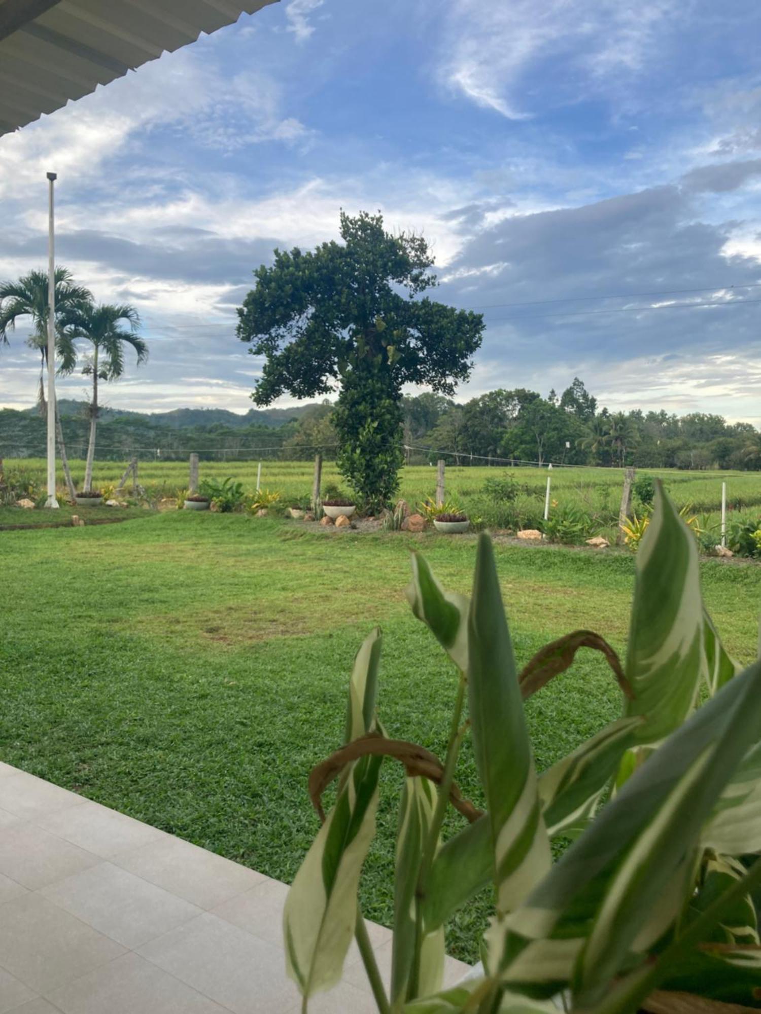 The Eliana Farm Resort And Villas Manolo Fortich 外观 照片